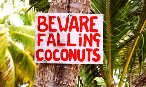 Coconut Oil Is Risky BS After-All. This Is Why Health-Fads Are Dangerous: