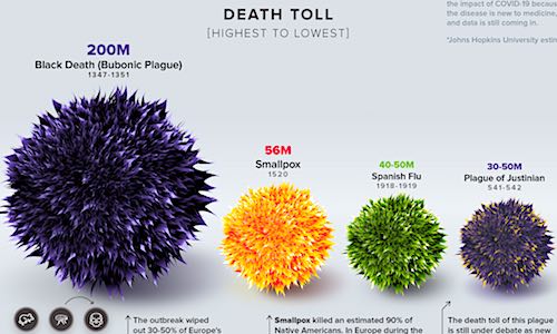 coronavirus pandemic deaths infographic visual capitalist
