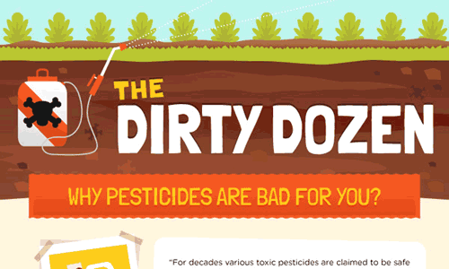 EWG’s Dirty Dozen, Clean Fifteen & Hazardous 3 In An Infographic!