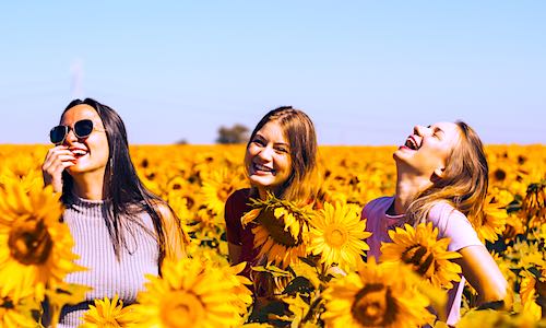 feeling younger aging three young women in sunflower field